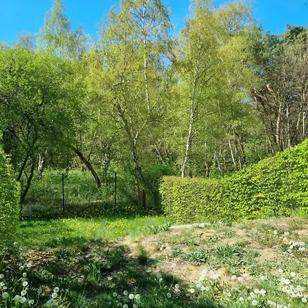 Nadmorski Dwor Garden